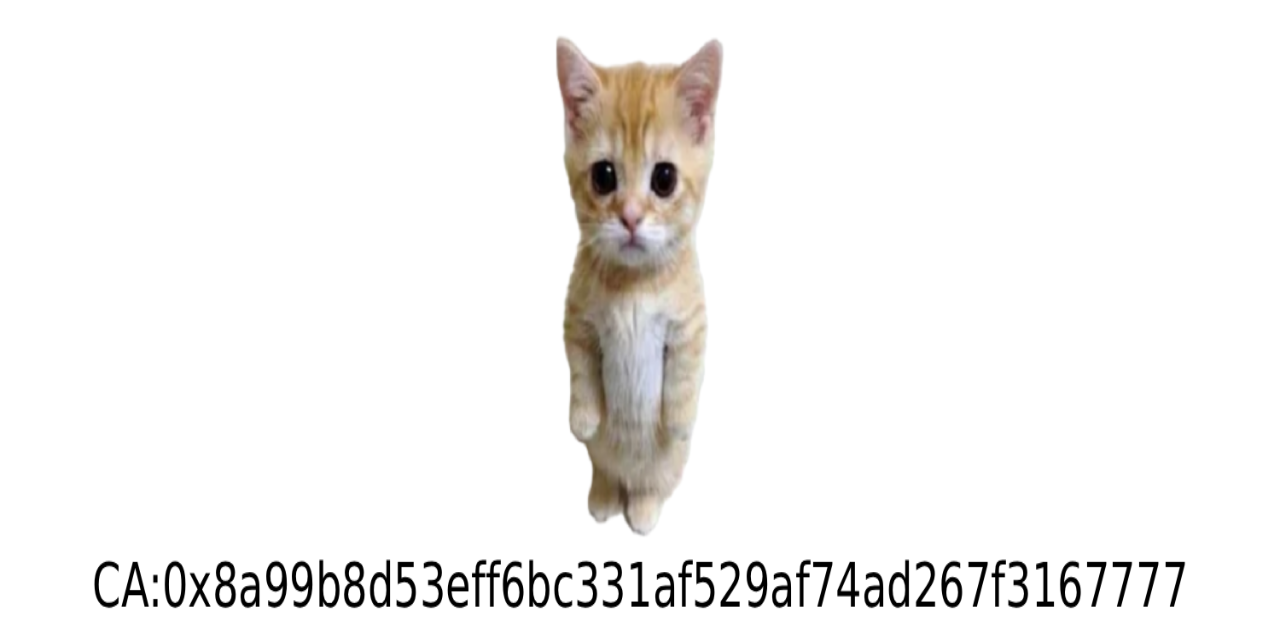 tradecat-public