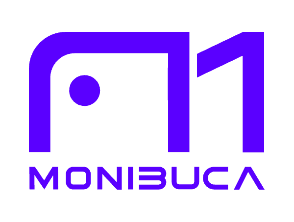 monibuca
